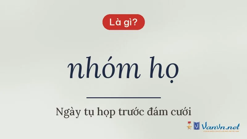 nhóm họ là gì