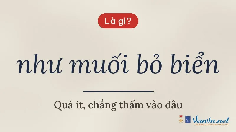 như muối bỏ biển là gì