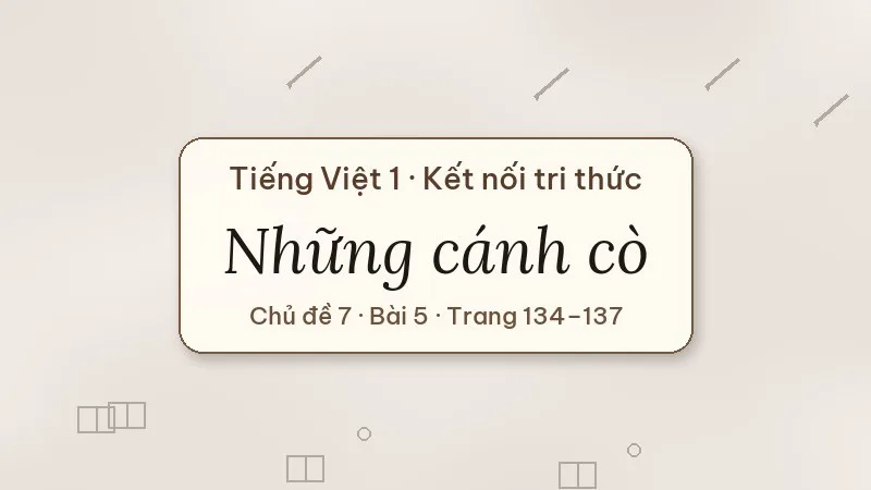những cánh cò lớp 1 kết nối tri thức