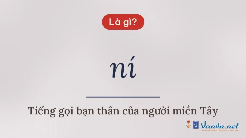 ní là gì