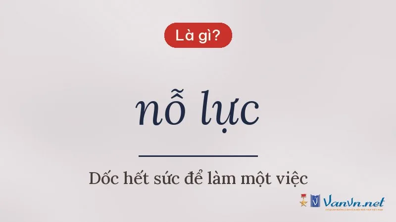 nỗ lực là gì