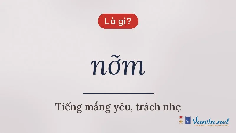 nỡm là gì