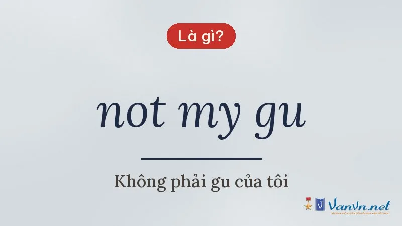 not my gu là gì