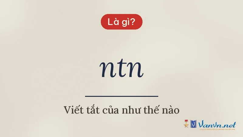 ntn là gì