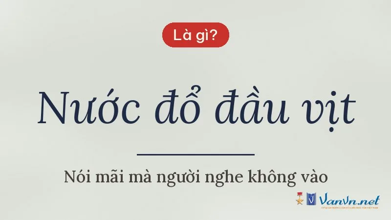 Nước đổ đầu vịt là gì