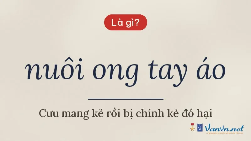 nuôi ong tay áo là gì
