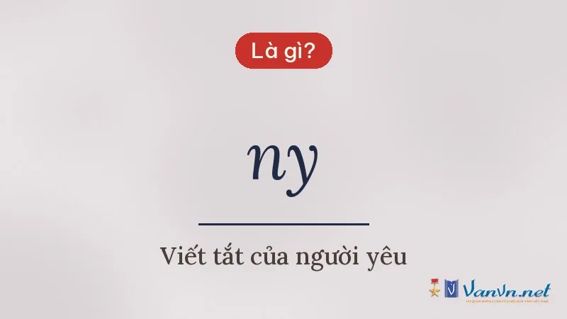 ny là gì