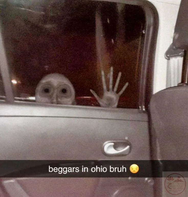 ohio meme kỳ quái