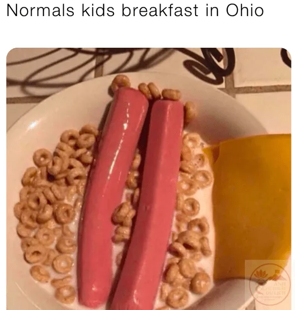 ohio meme kỳ quái