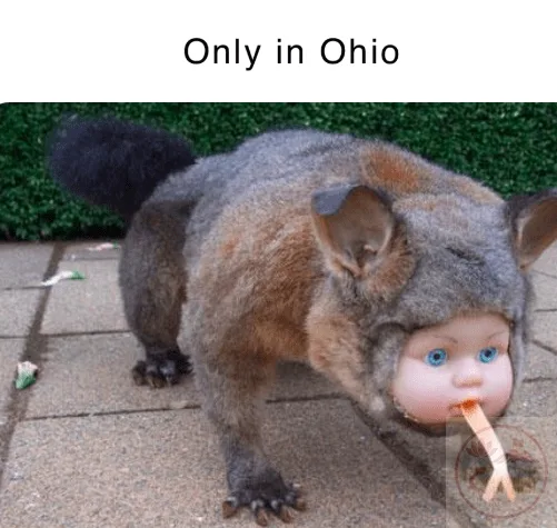 ohio meme kỳ quái