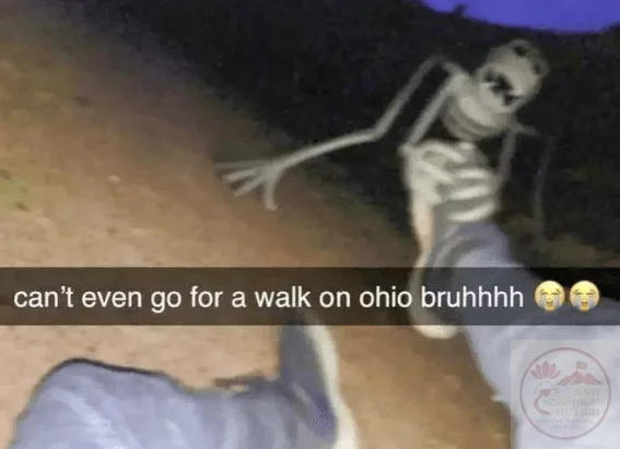 ohio meme kỳ quái