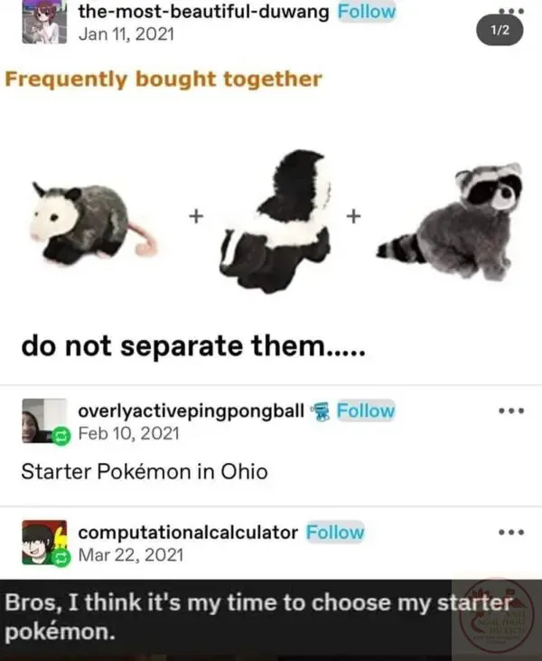 ohio meme kỳ quái