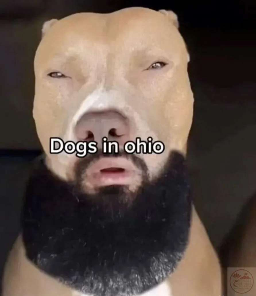 ohio meme kỳ quái