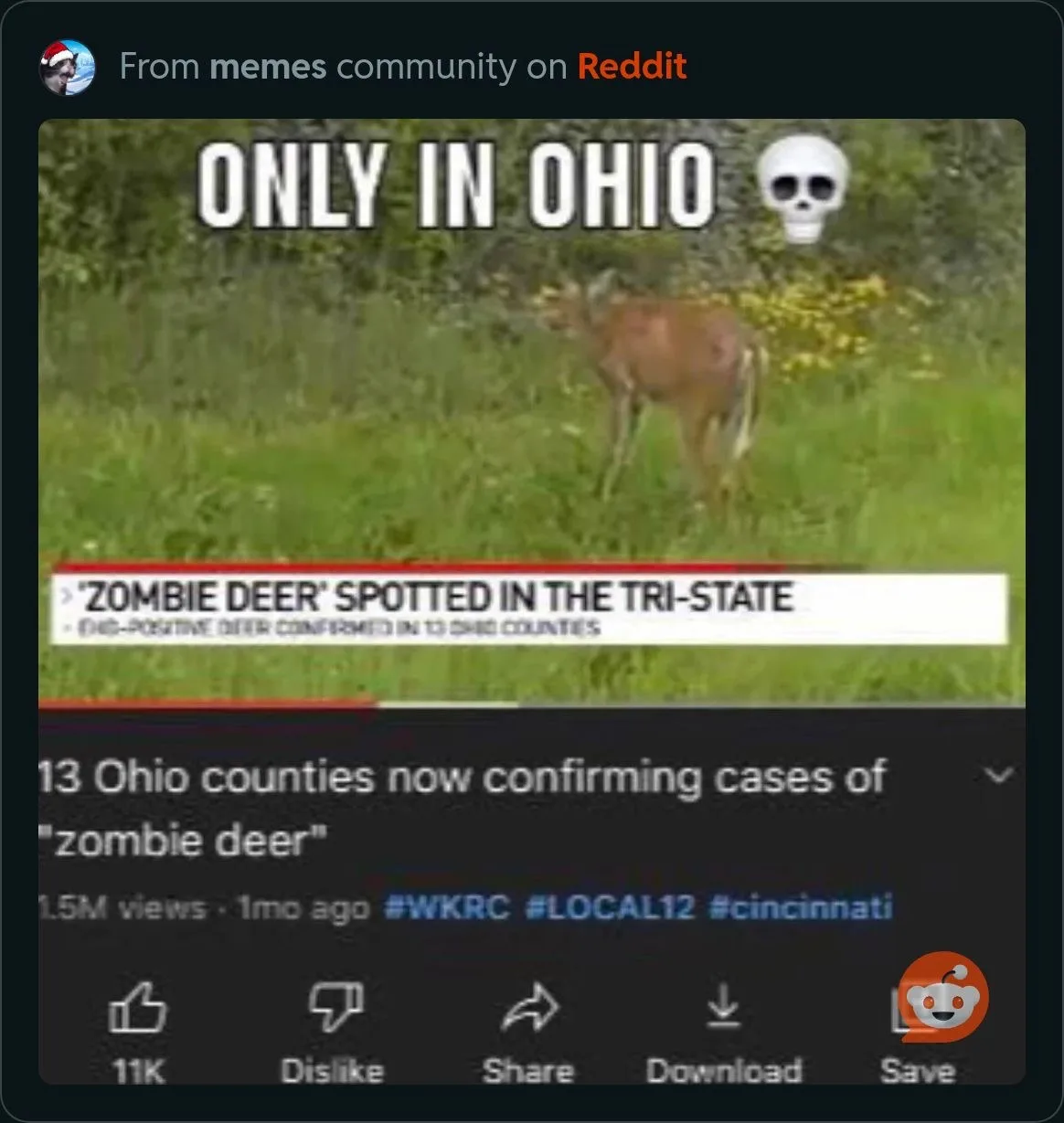 ohio meme kỳ quái