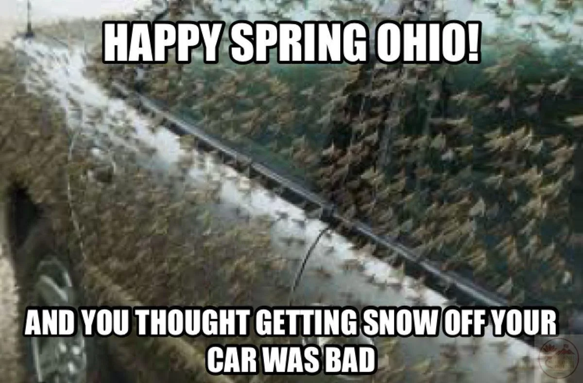ohio meme thời tiết