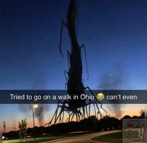 ohio meme kỳ quái
