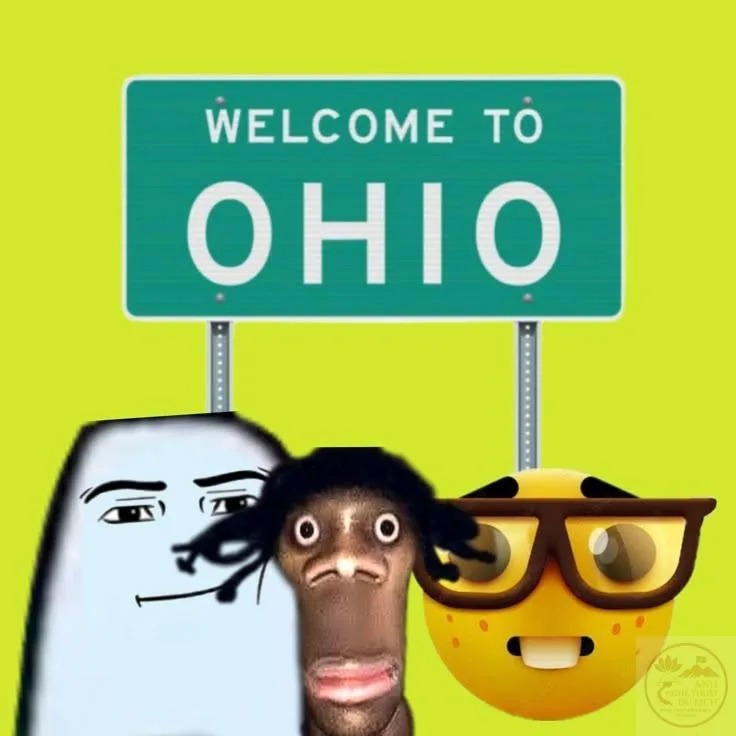 ohio meme welcome to ohio