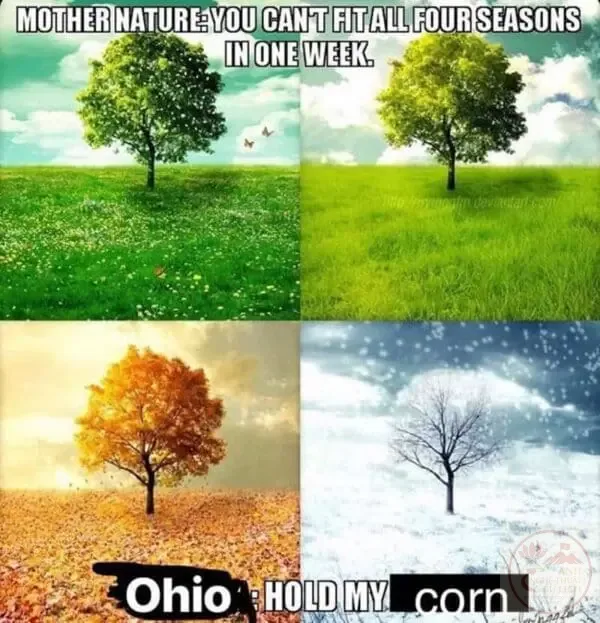ohio meme thời tiết