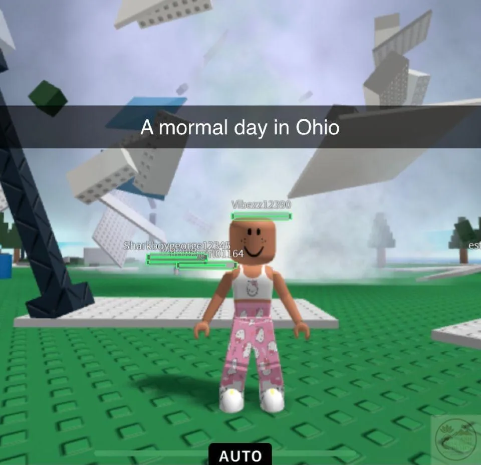 ohio meme kỳ quái