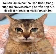 ối dồi ôi hieuthuhai