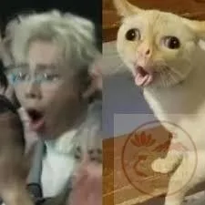 ối dồi ôi meme