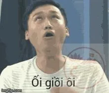 ối dồi ôi meme