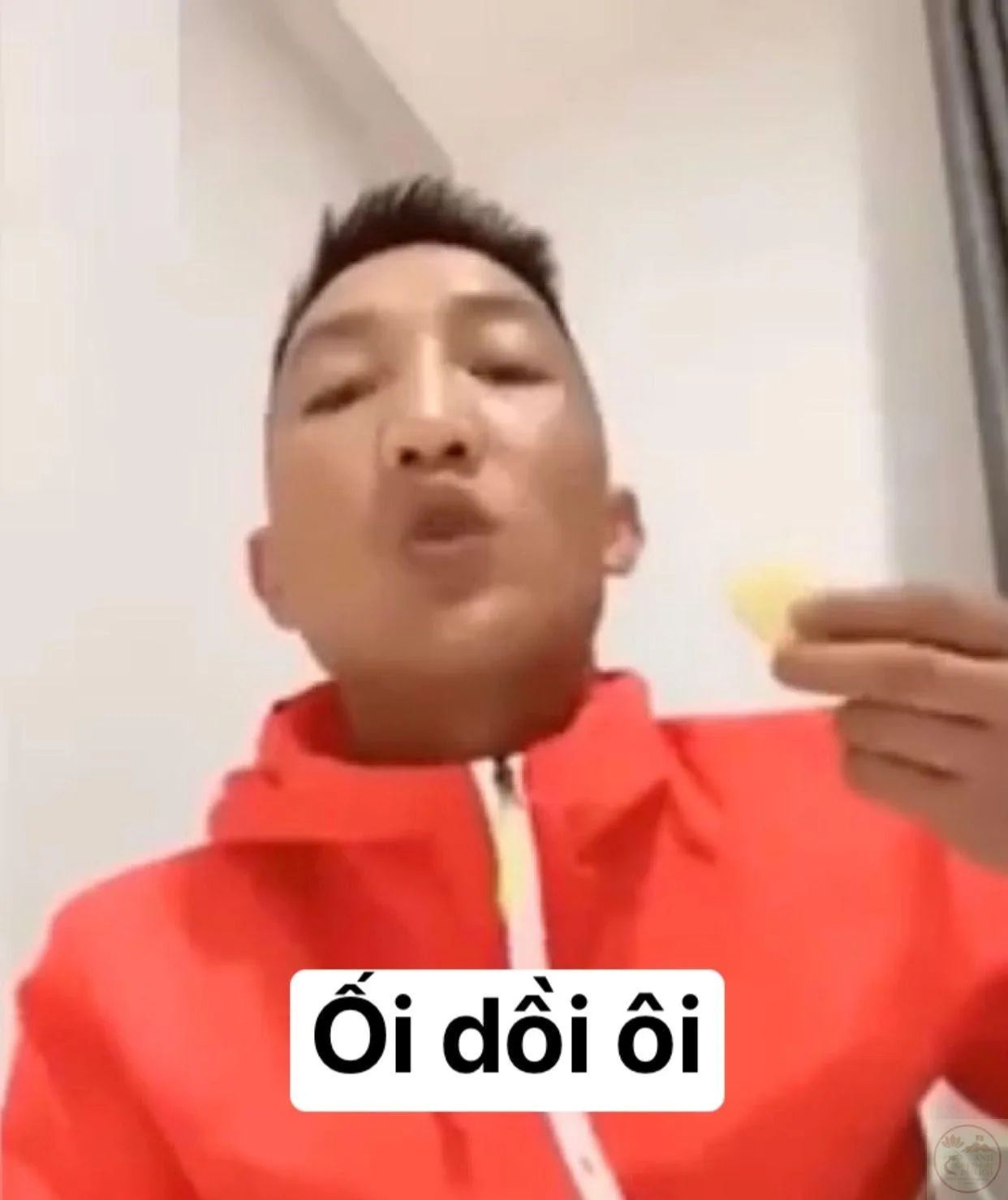 ối dồi ôi meme