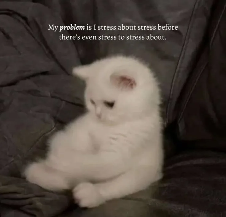 over thinking meme