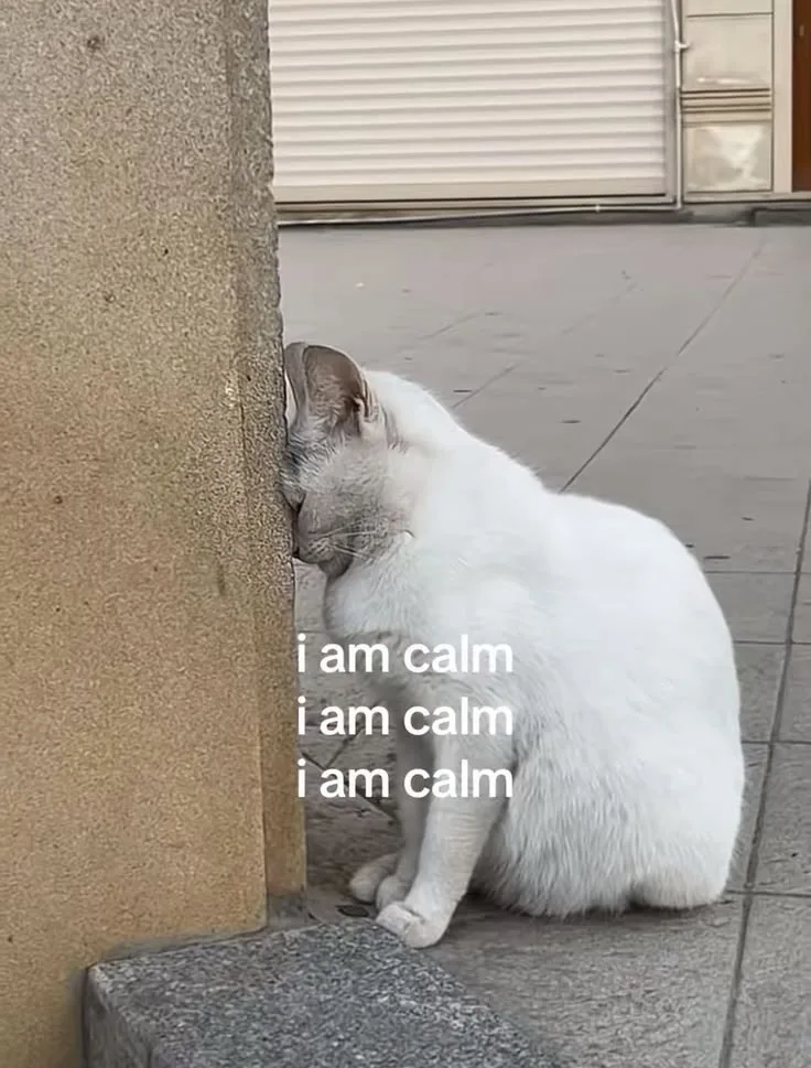over thinking meme