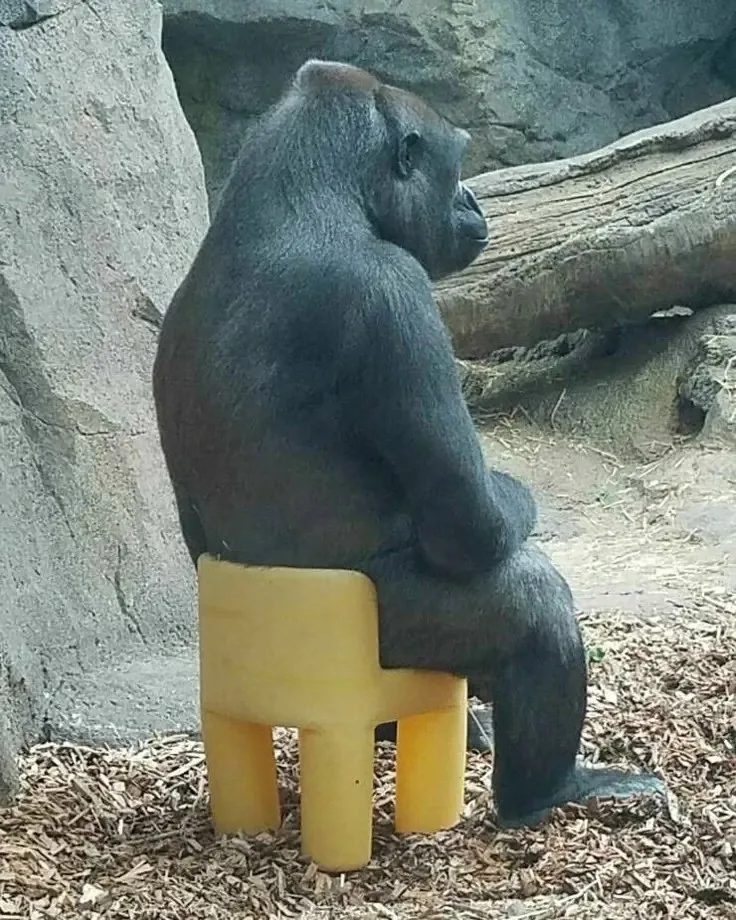over thinking meme