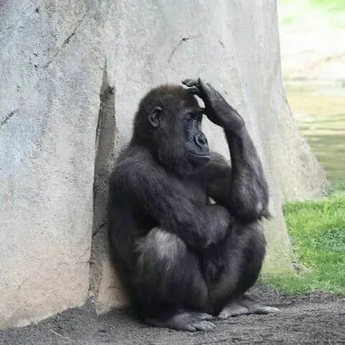 over thinking meme