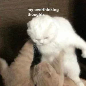 over thinking meme