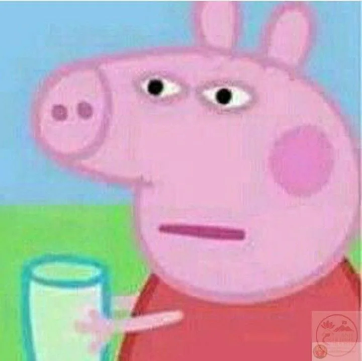 peppa pig meme