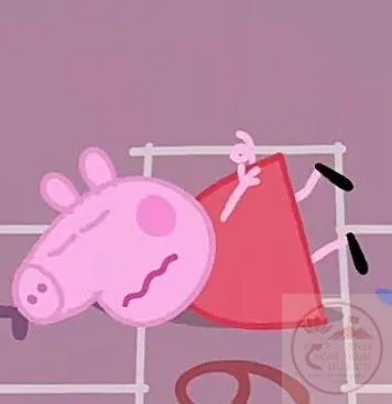 heo peppa meme