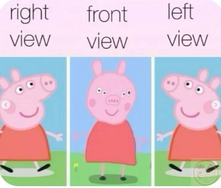heo peppa meme