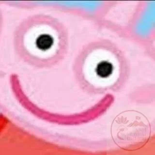 heo peppa meme