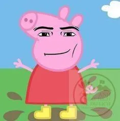 heo peppa meme