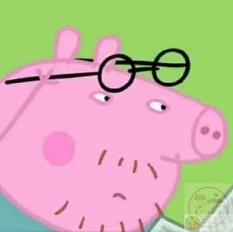 peppa pig meme