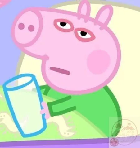 peppa pig meme