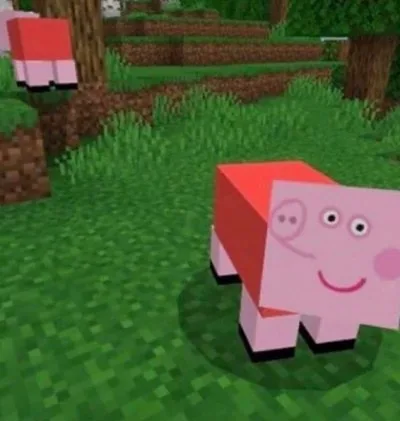 heo peppa meme