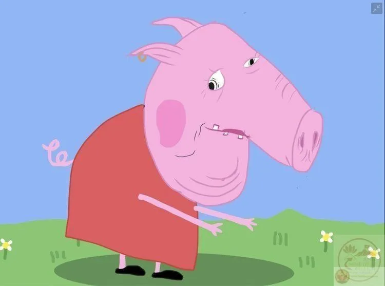 heo peppa meme