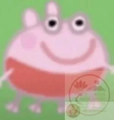 heo peppa meme