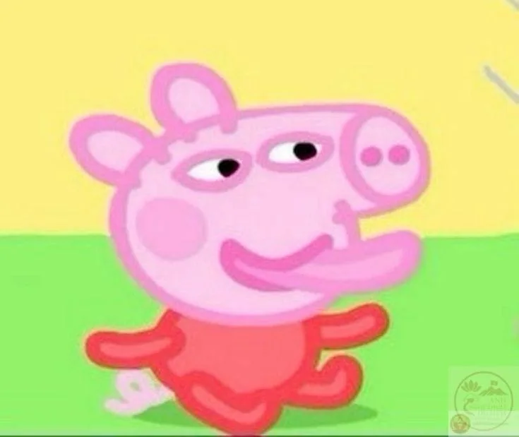 peppa pig meme