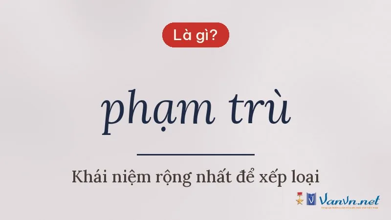 phạm trù là gì