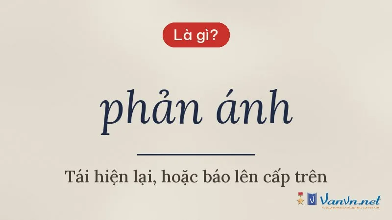 phản ánh là gì