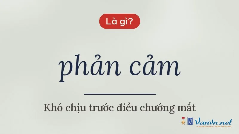 phản cảm là gì