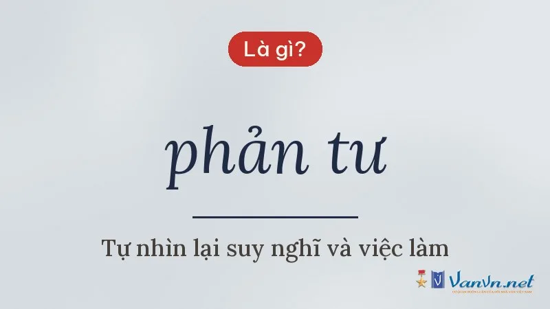 phản tư là gì