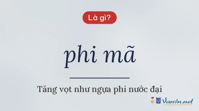 phi mã là gì