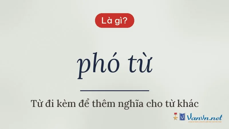 phó từ là gì