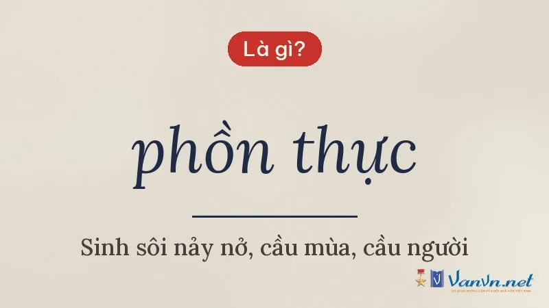 phồn thực là gì